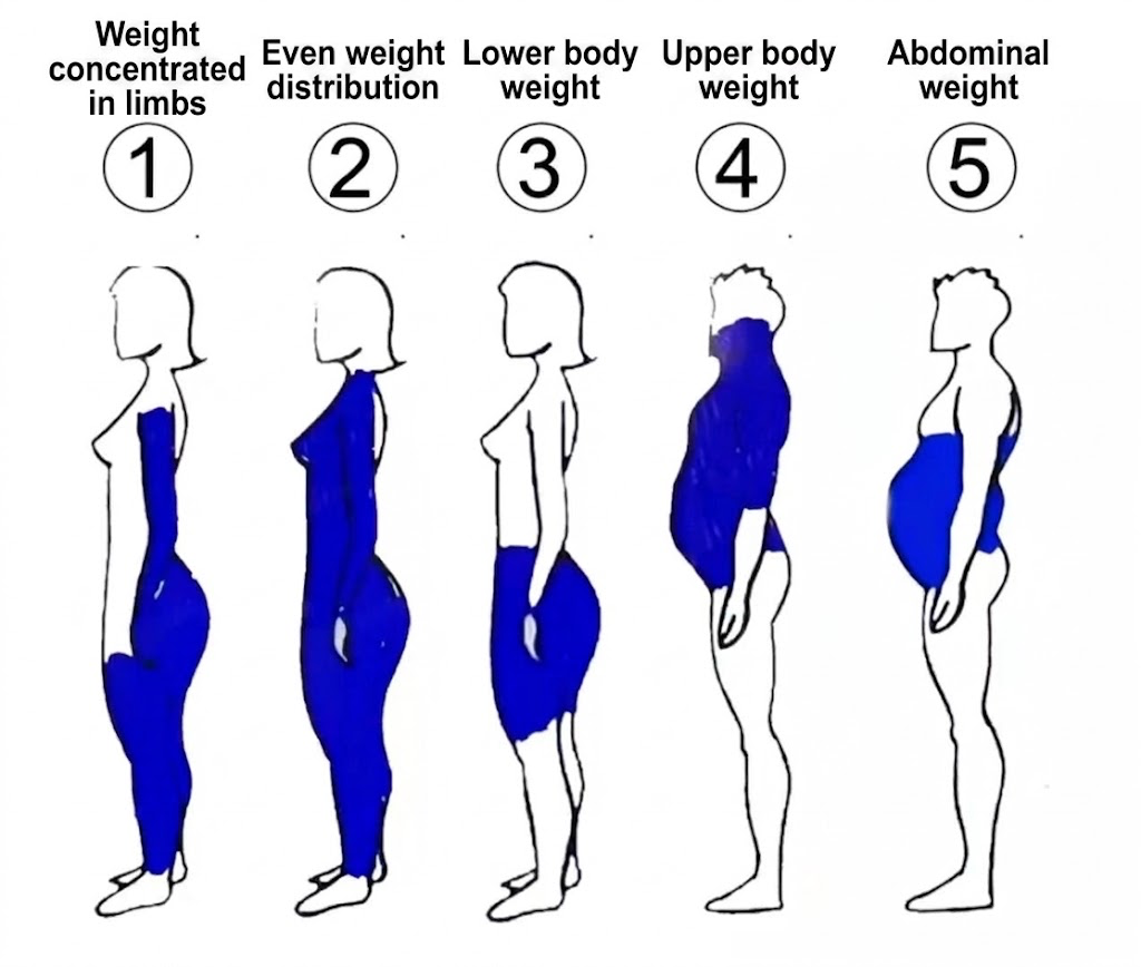 Stop Ineffective Fat Loss: Identify Your Body Type Among These 5 to Find Your Metabolic Code